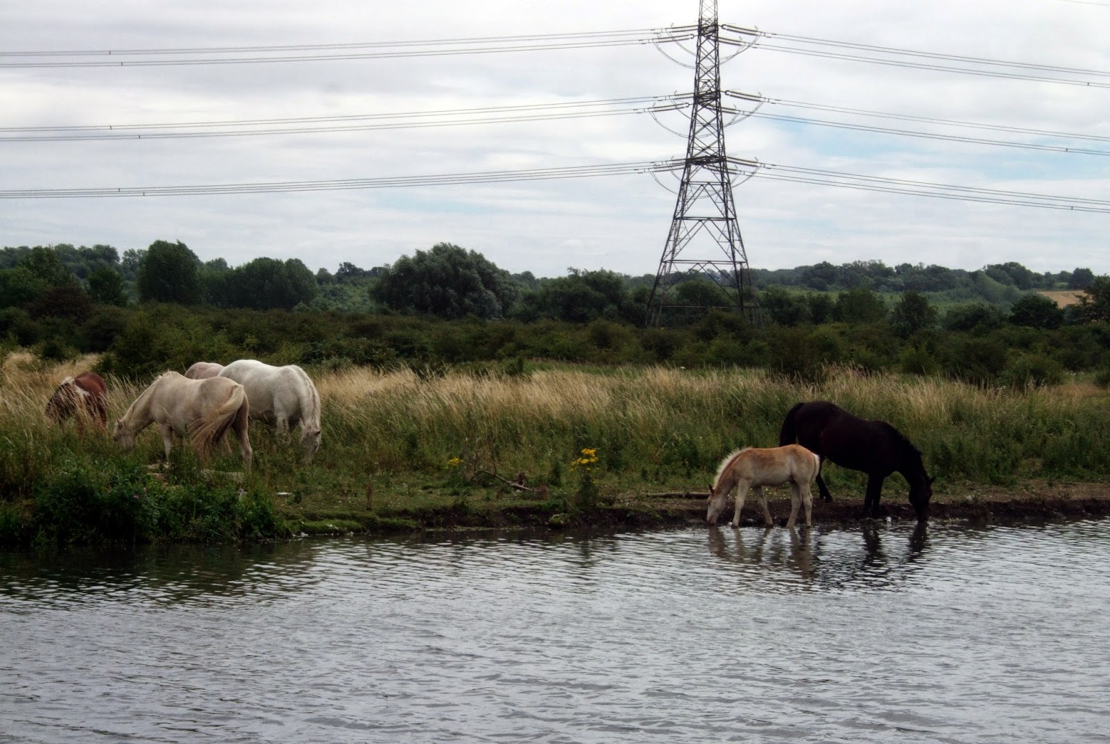 London underfoot London Countryway 13 Broxbourne Theydon Bois