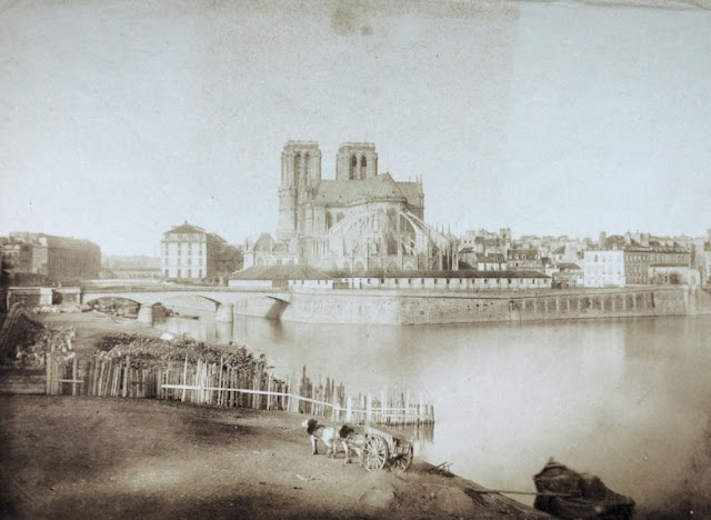 Fotografías antiguas de Notre Dame en el siglo XIX