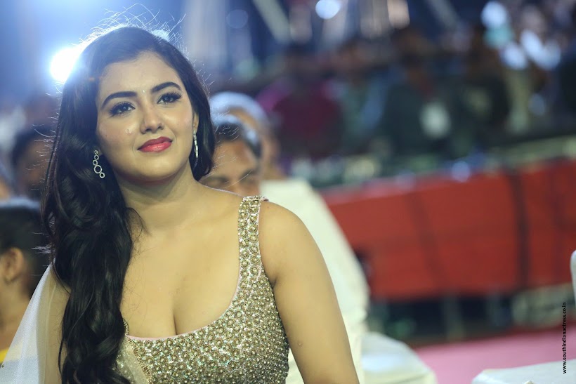 Malvika Sharma at Nela Ticket Audio Release
