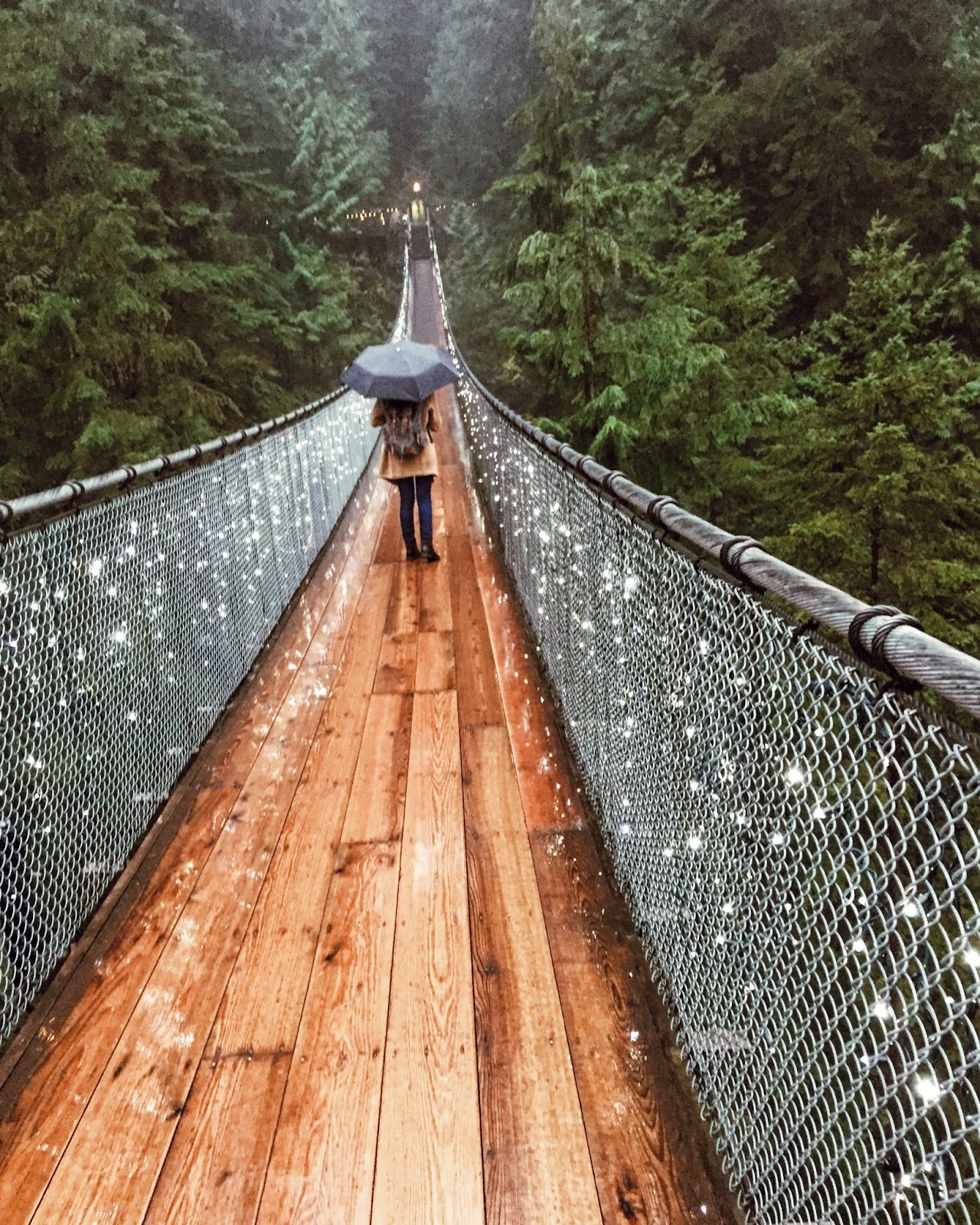 Vancouver Capilano Suspension Bridge Park StephC