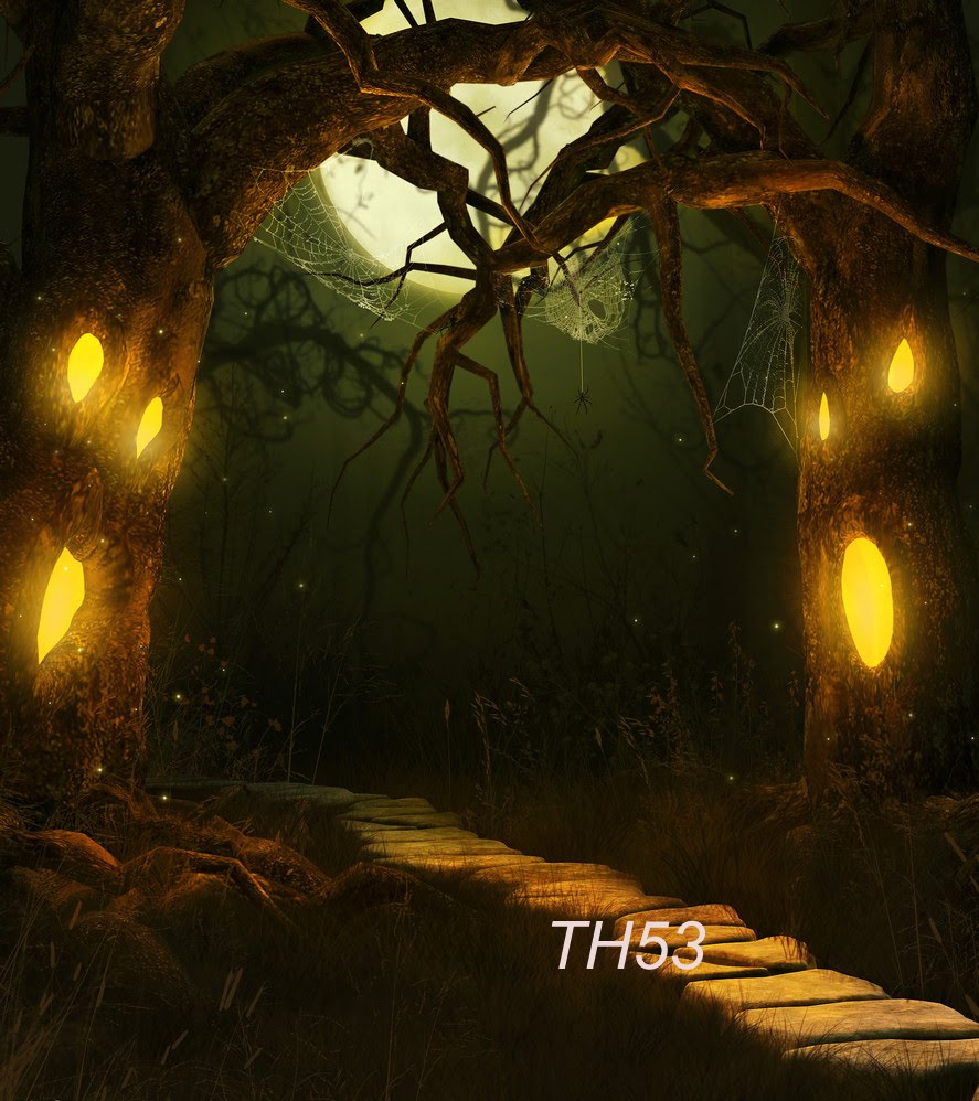 Digital Photography Backgrounds Backdrops