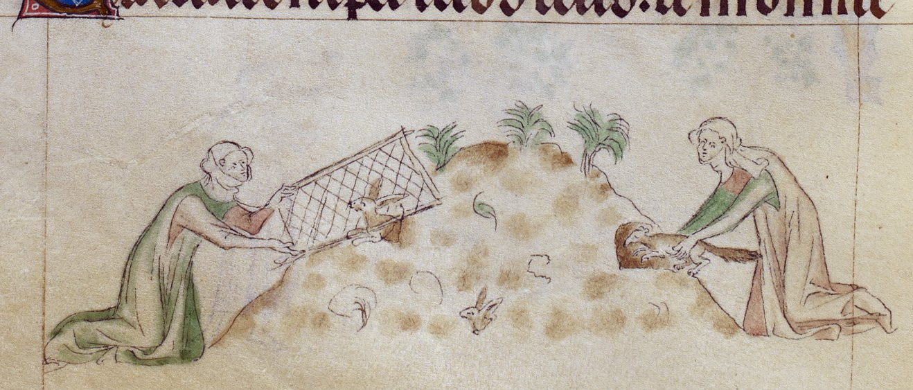 The History Girls: Medieval Hunting - by Ann Swinfen