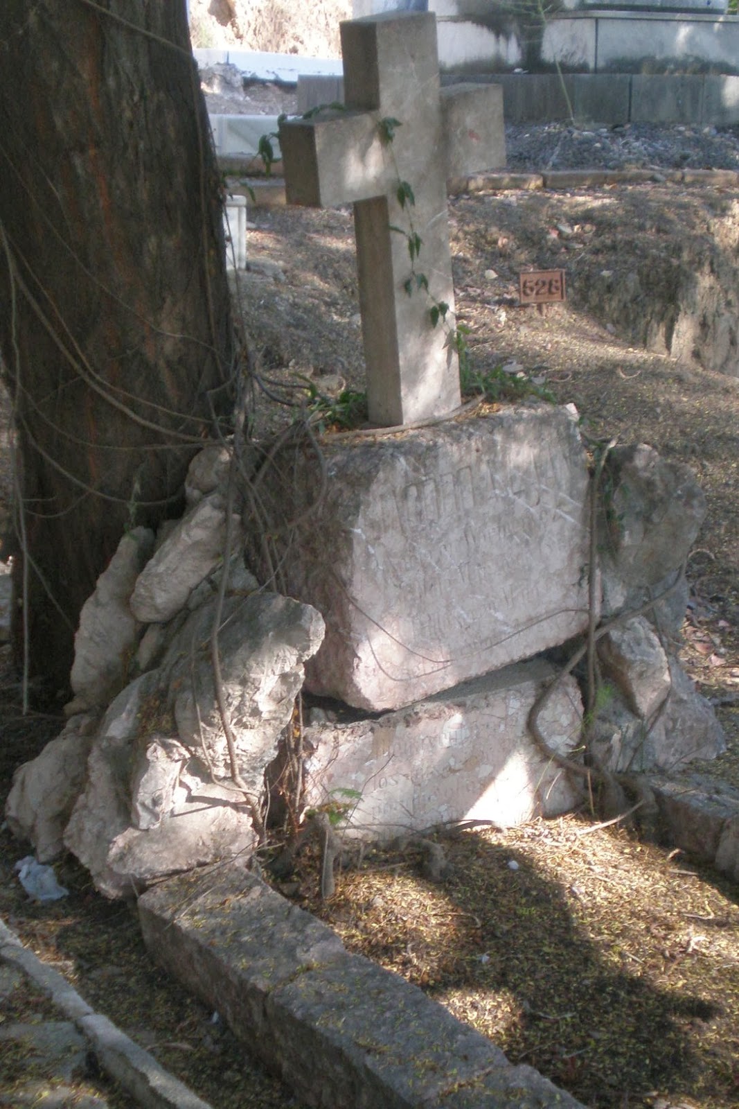 Ernesto Colomo Magaña 2013