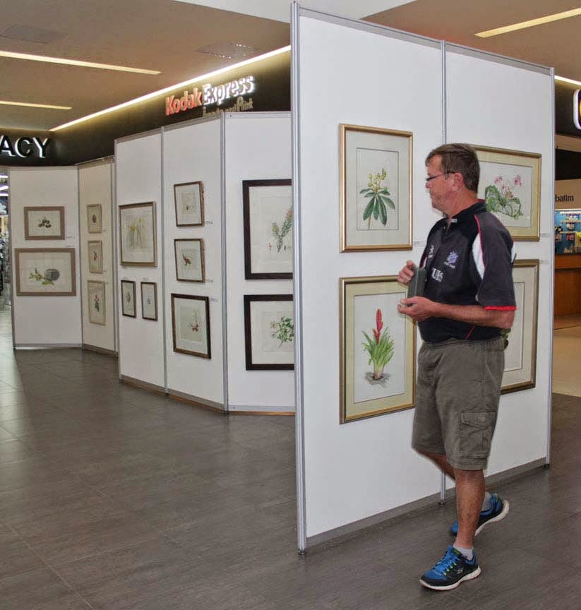 Botanical Artists Association of Southern Africa 2015