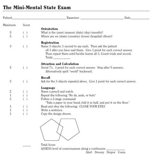 Medical Outlines Mini Mental Status Exam
