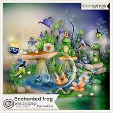 Enchanted frog