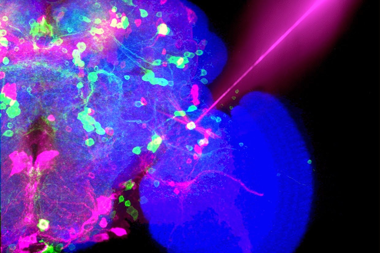 How Does Advance Ultrafast Lasers? Tech News 24h