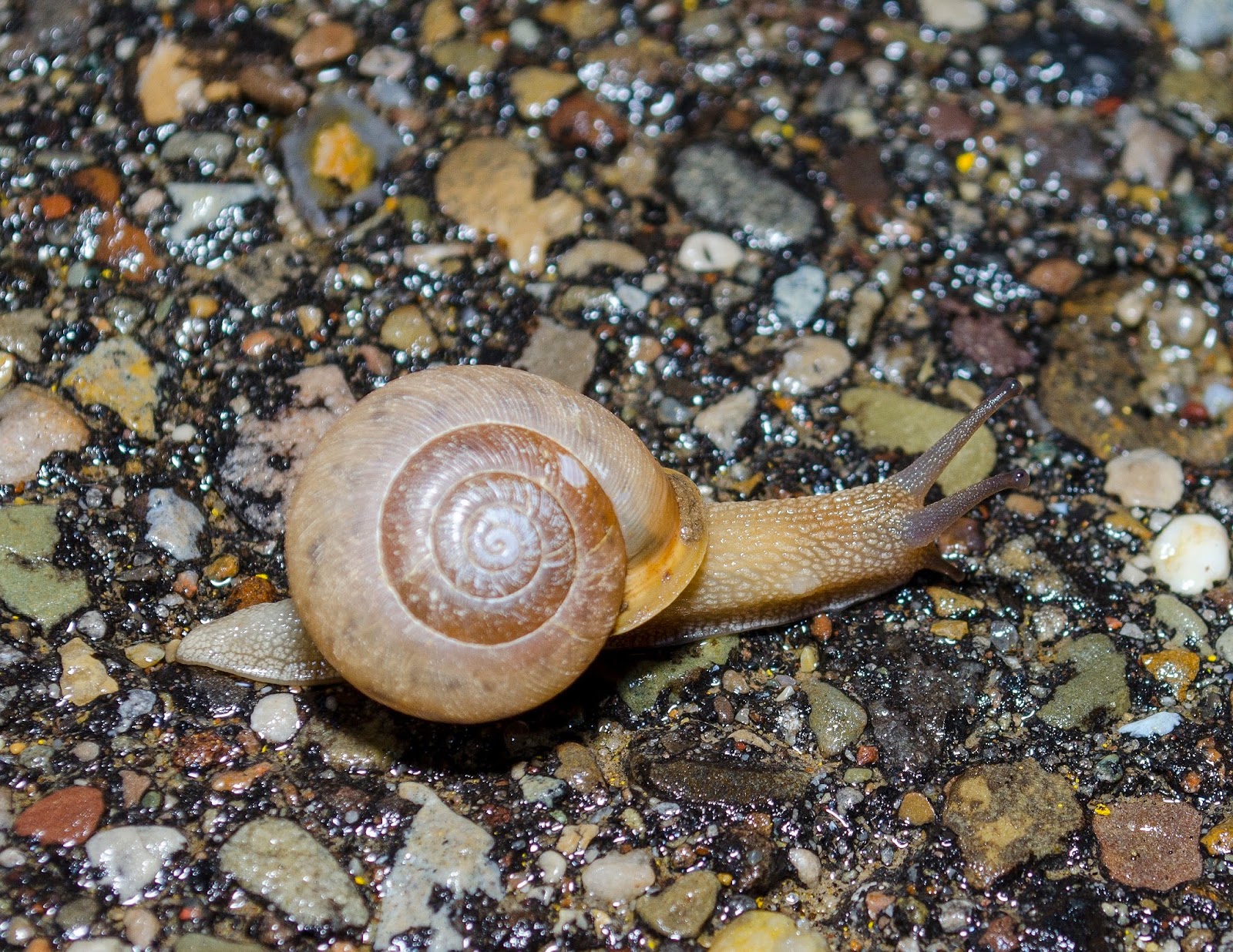 On the Subject of Nature March 2014