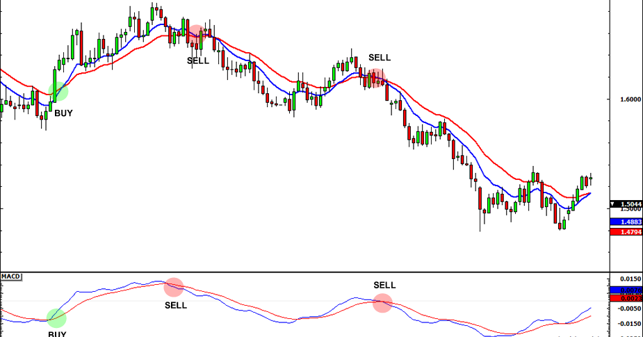 Cara membaca indikator alligator forex