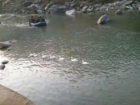 jamune darjeeling river rafting