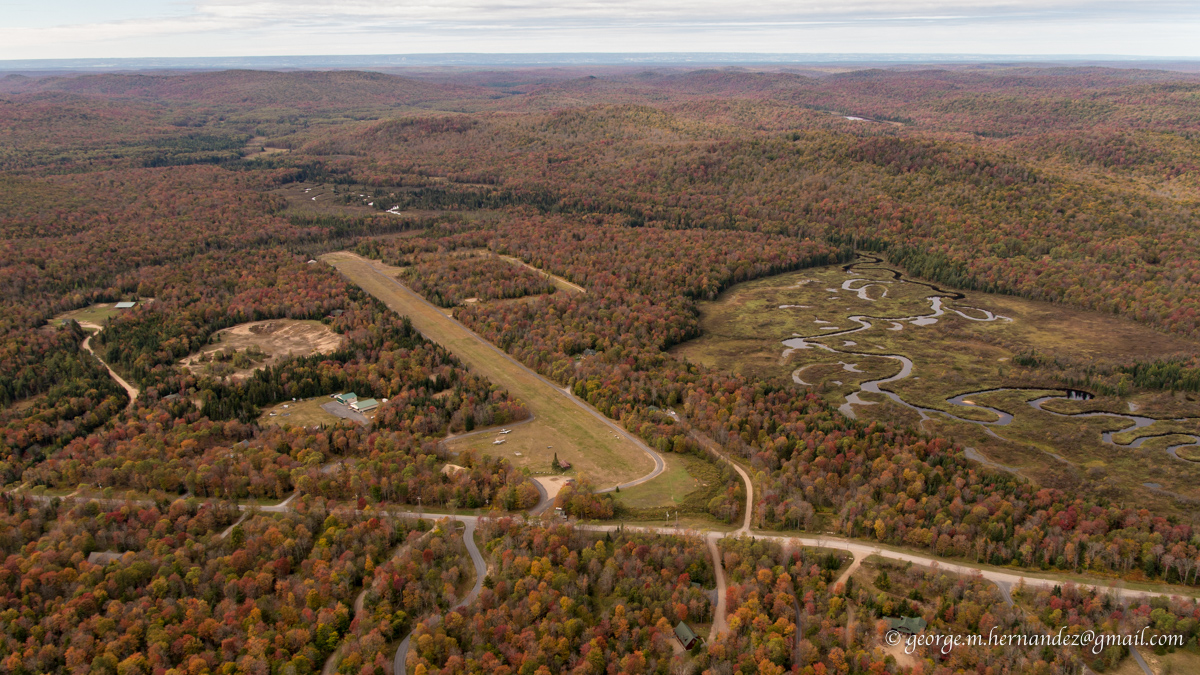 Sterling is Forest NY a good trees, time to fall trim