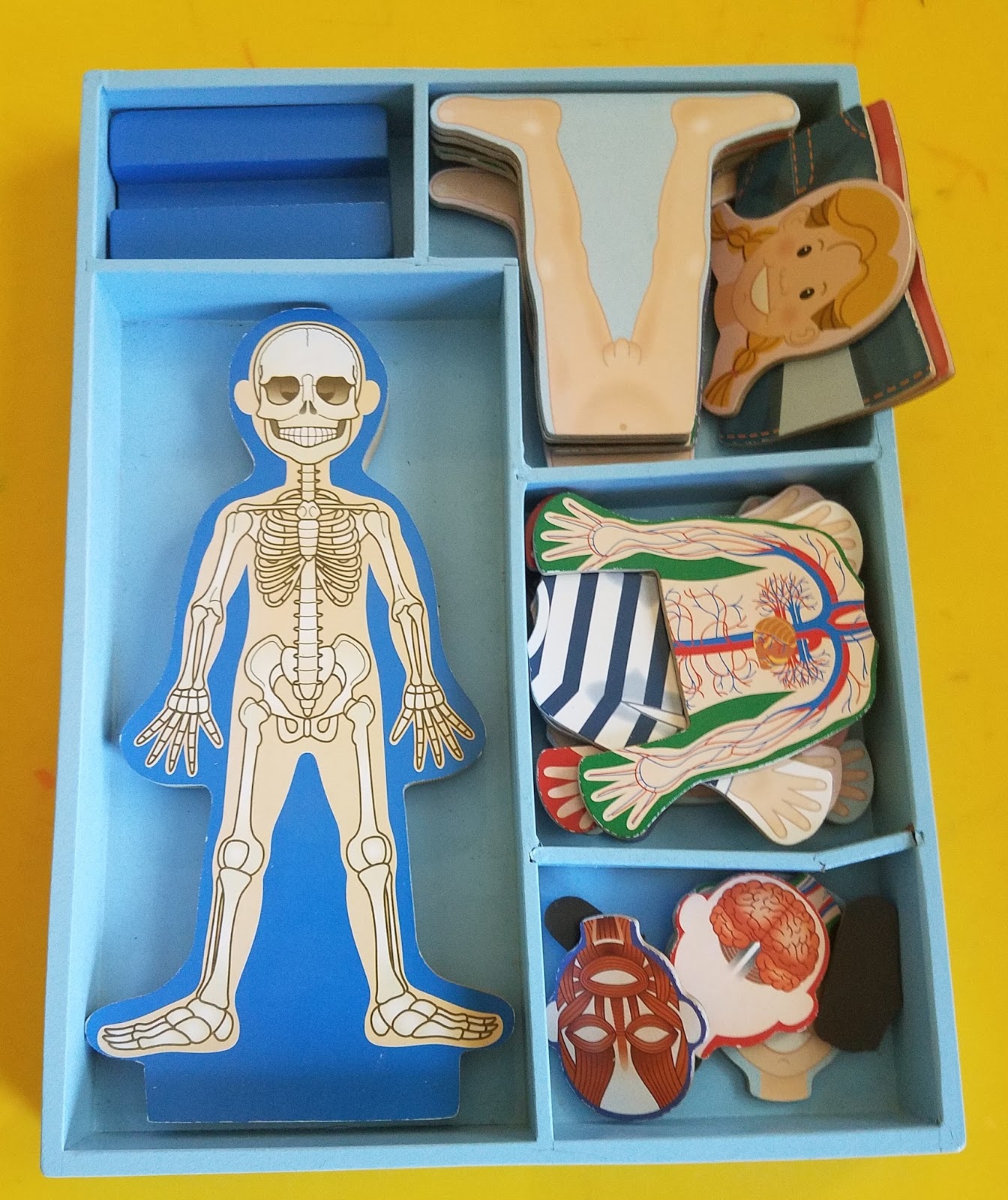 melissa and doug human body