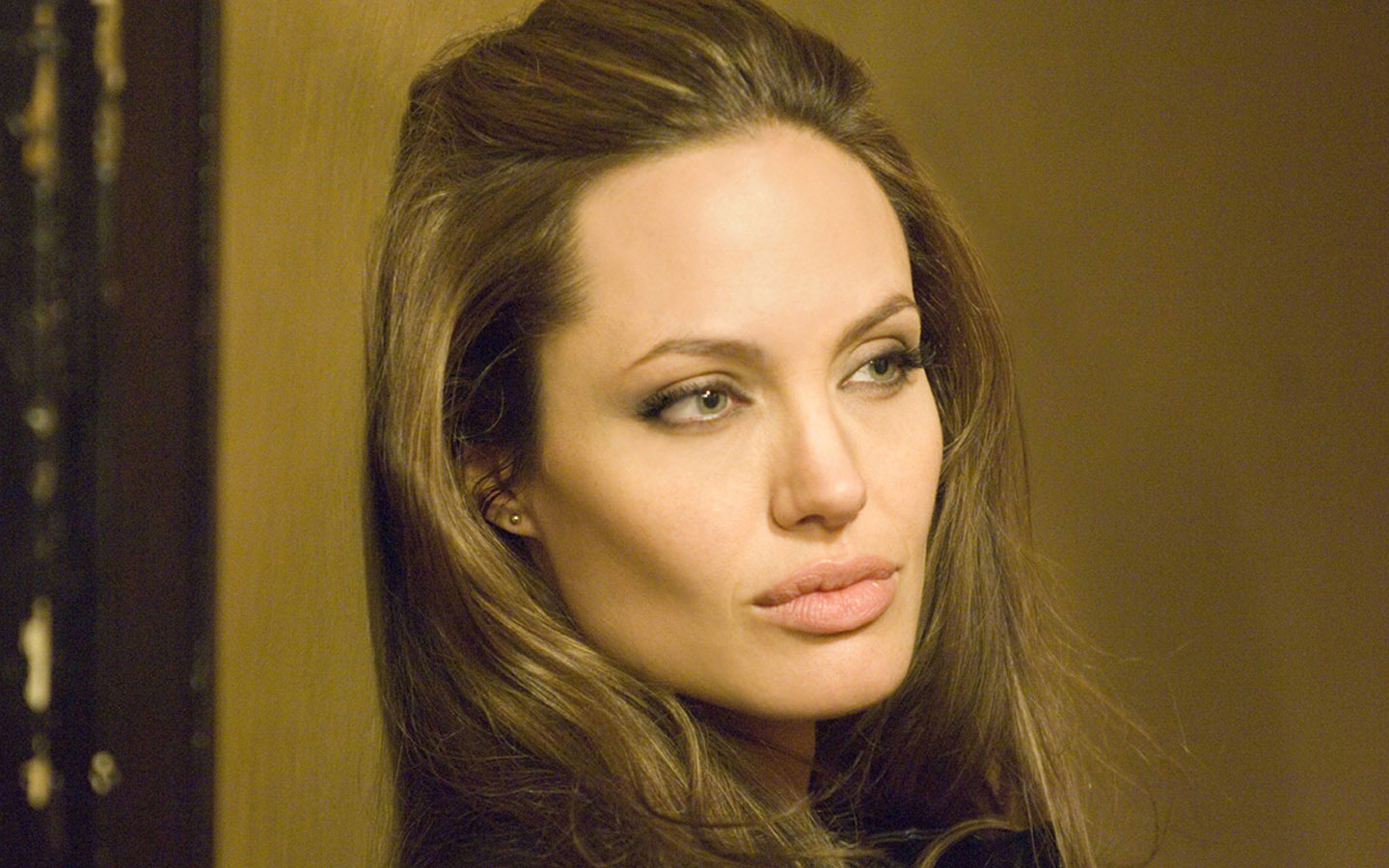 Angelina Jolie Wallpapers Hd Angelina Jolie Desktop HD Wallpapers Download Free Map Images Wallpaper [wallpaper376.blogspot.com]