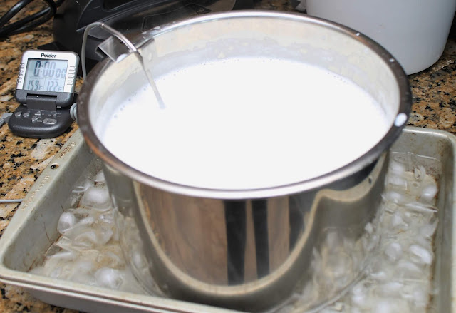 Homemade Pressure Cooker Yogurt