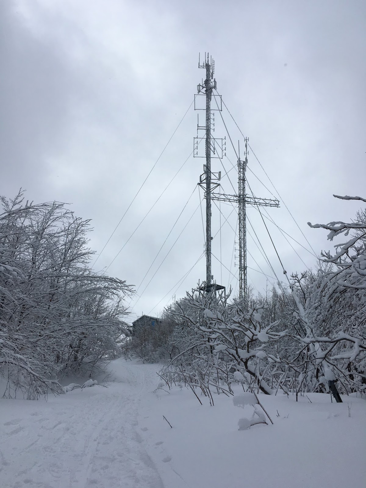 Ski Glisse Le sommet du mont Rougemont