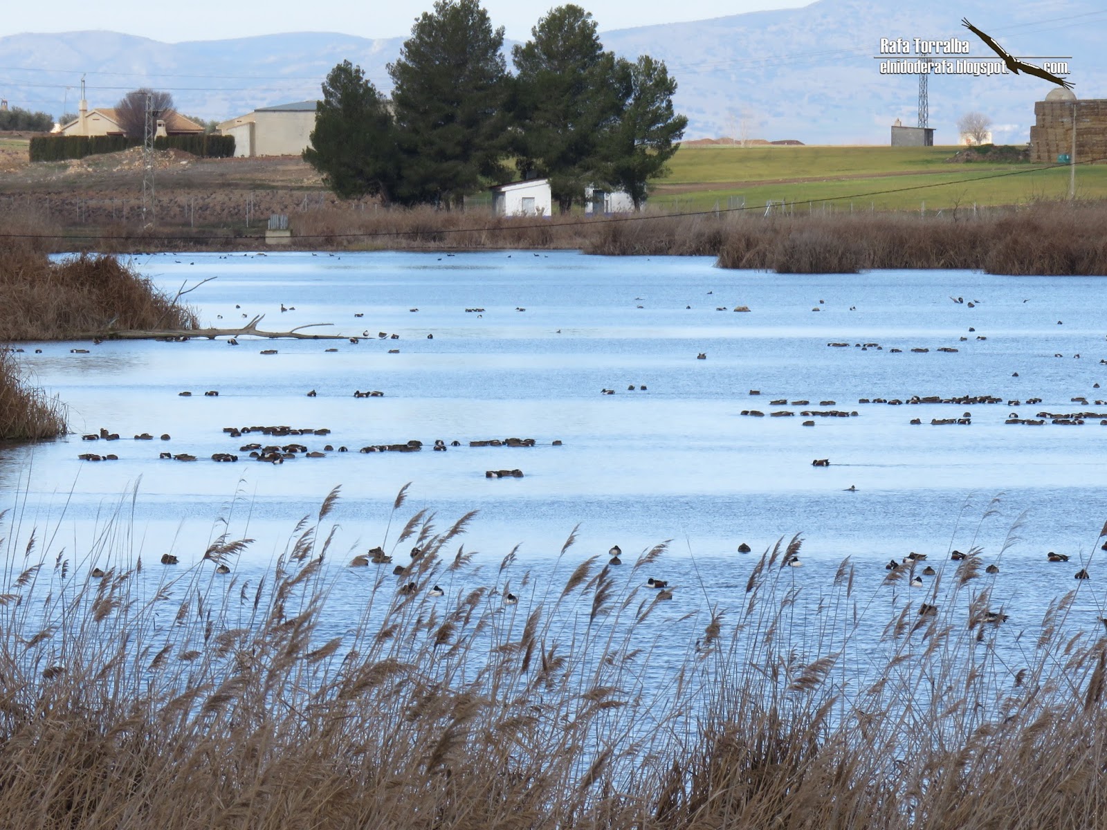 El Nido de Rafa La Mancha Húmeda