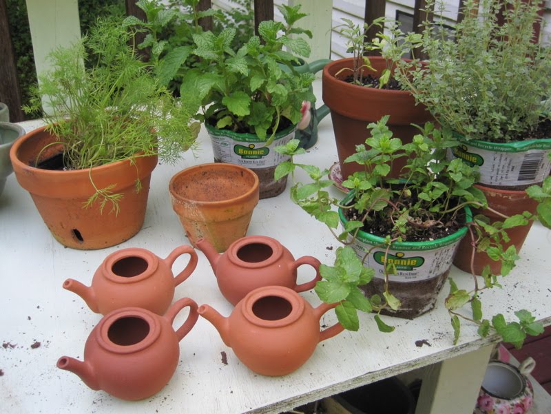 Tea With Friends Herbs in my teapots