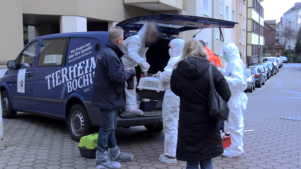 Tierheim Ladeburg Hunde Tierheim Ladeburg Neue Offnungszeiten