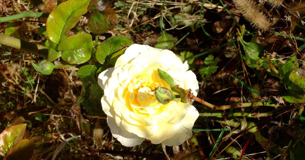 “MOMENTOS”: Sesión de fotos, otoño