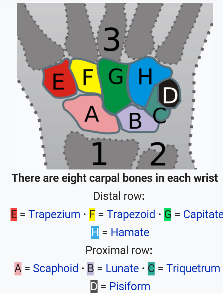 ERGONOMICS GUIDE WRIST PAIN