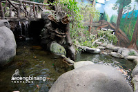 taman akuarium air tawar