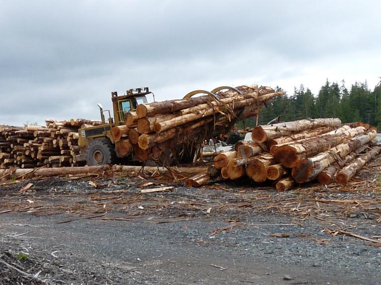 Coho Chalet Alaska Adventures AFOGNAK