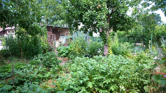 Gemüsegarten (c) by Joachim Wenk Gemüsegarten (c) by Joachim Wenk