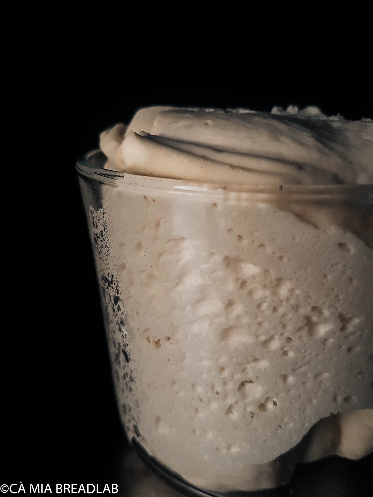 Ca Mia Breadlab Pasta Madre