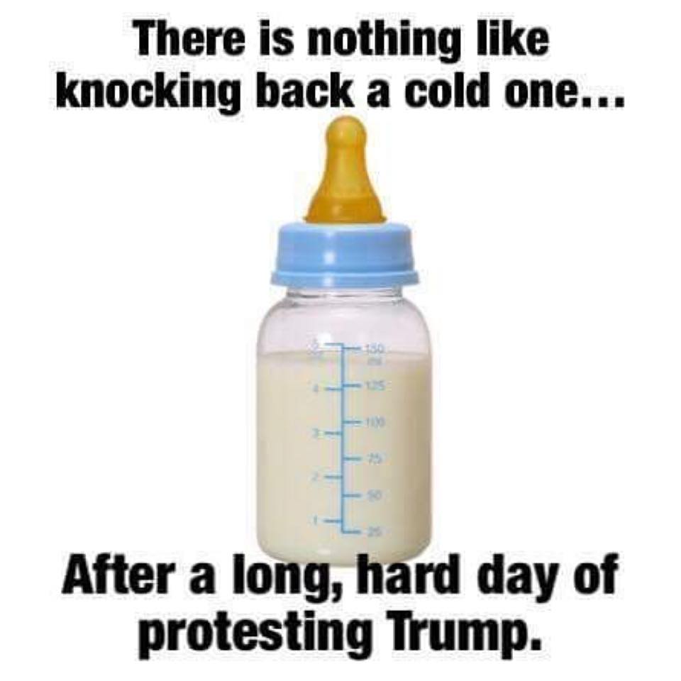 Cold back. Dear Liberals. Milk is for Babies. When you grow up you have to Drink Beer.".