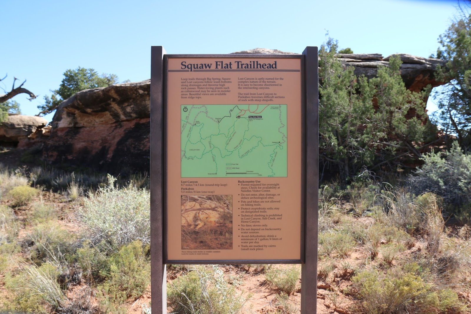 Featured image of post Lost Canyon Camp Map
