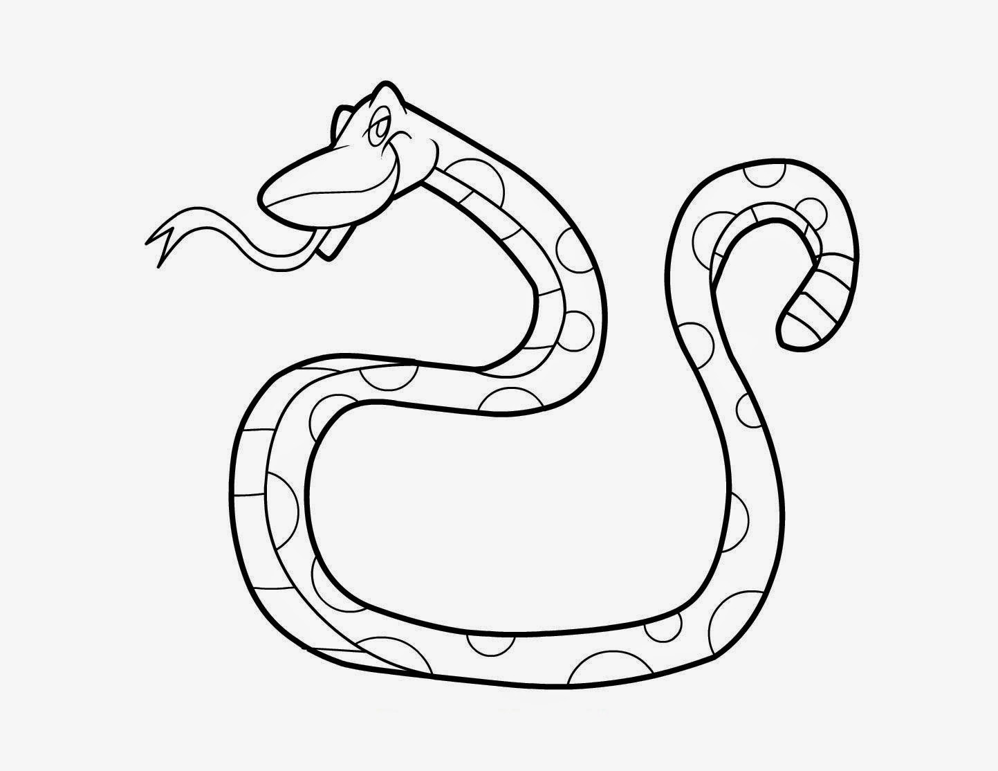 Snake Portrait For Kids Colour Drawing HD Wallpaper