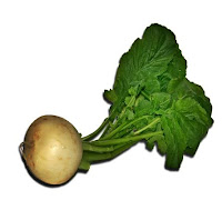 Bearded dragon food list vegetables