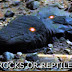 Rocks or Reptiles on Mars?