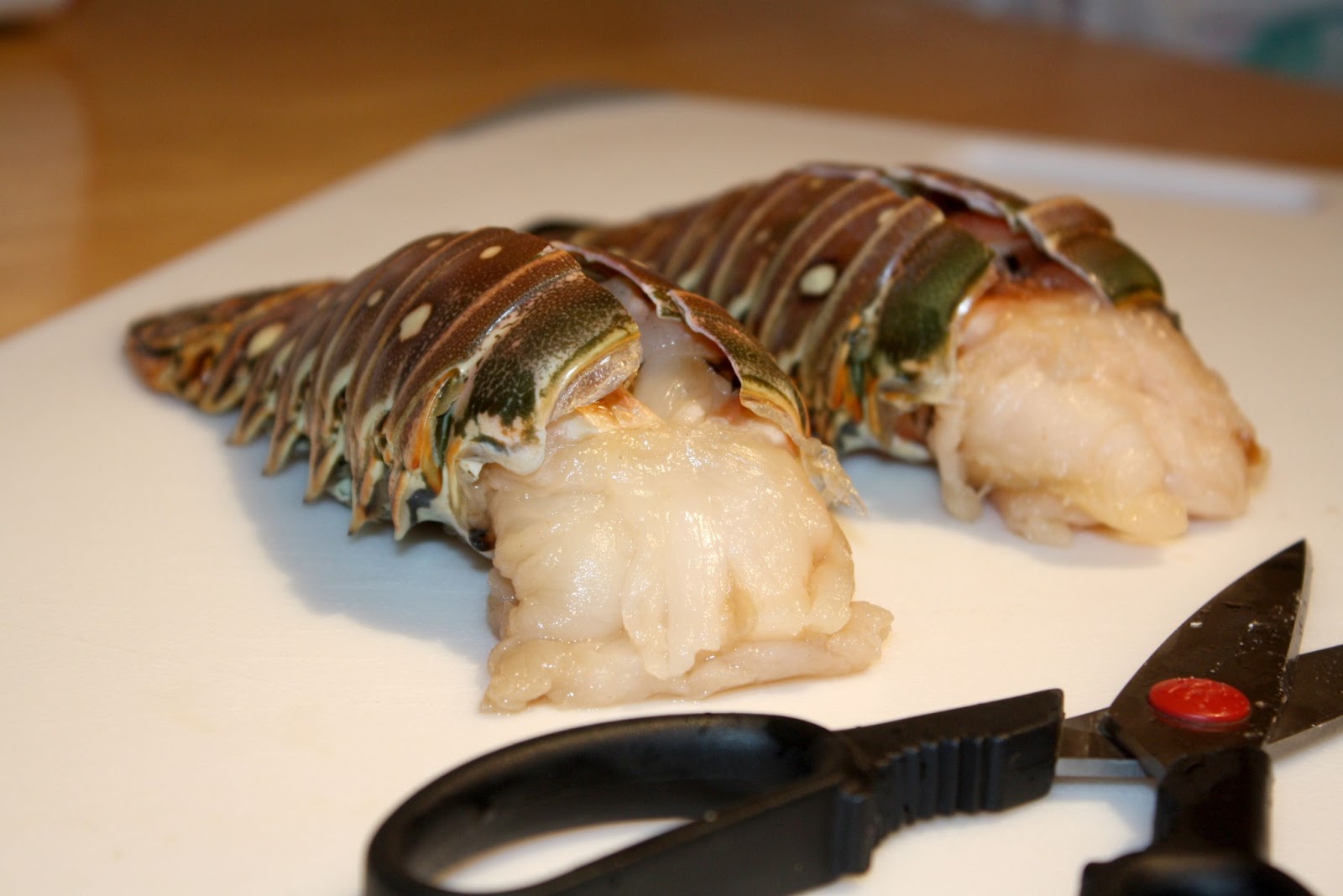 Hello Hungry!: Lobster, Lobster!
