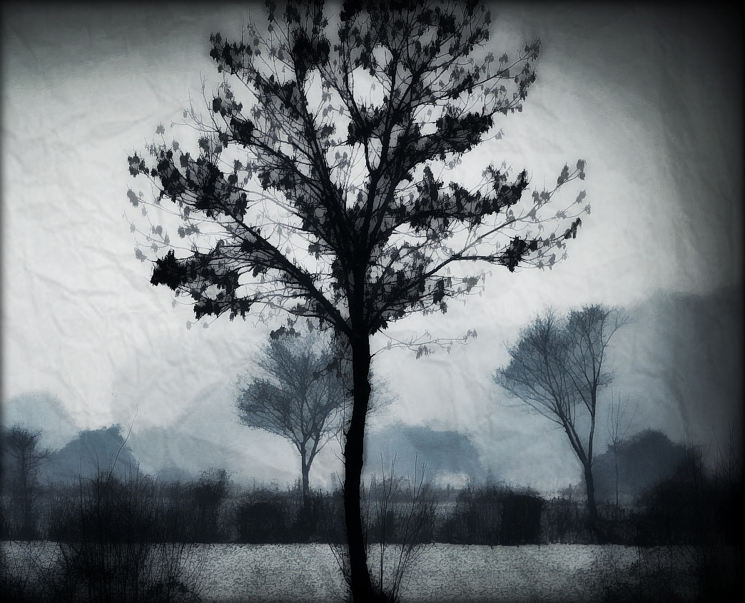 Gedichte Unter Der Laterne Januar 2014