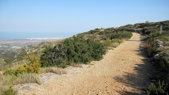 Pista forestal del Mondúver