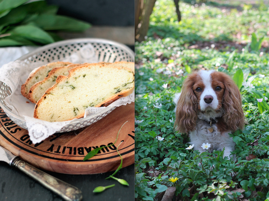 Gaston Le Gourmet Frühling mit Gaston