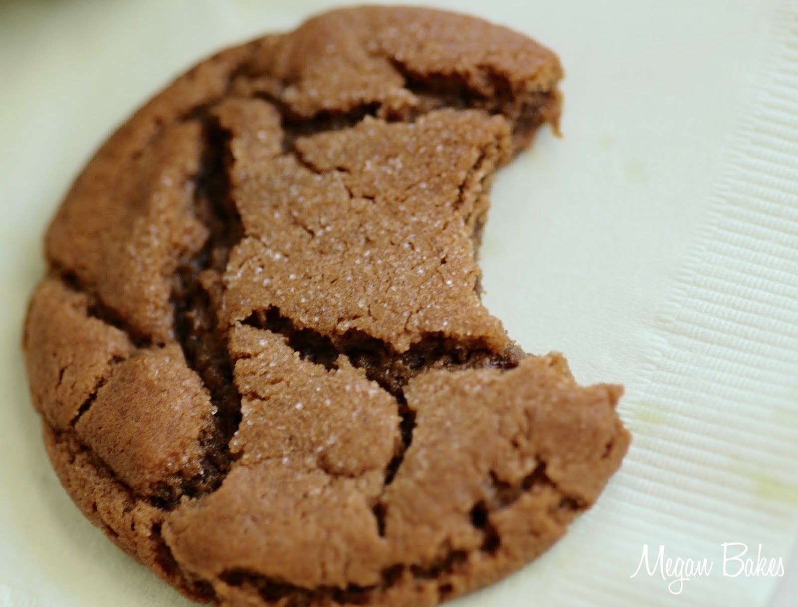 Megan Bakes Molasses Crinkles