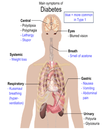 Natural Ways To Help Insulin Resistance Natural Ways To Help Insulin Resistance