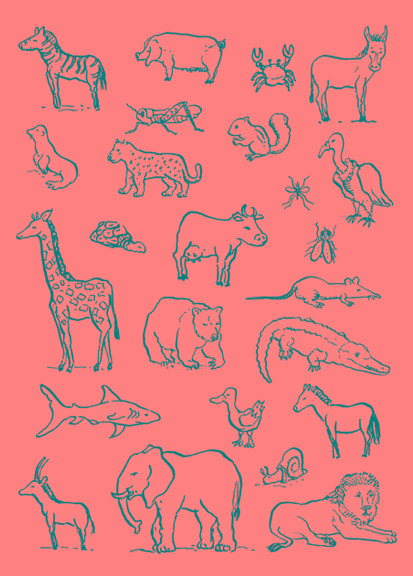 animais domÉsticos e selvagens atividades exercÍcios desenhos