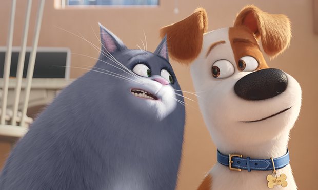 Bobby Rivers TV On THE SECRET LIFE OF PETS