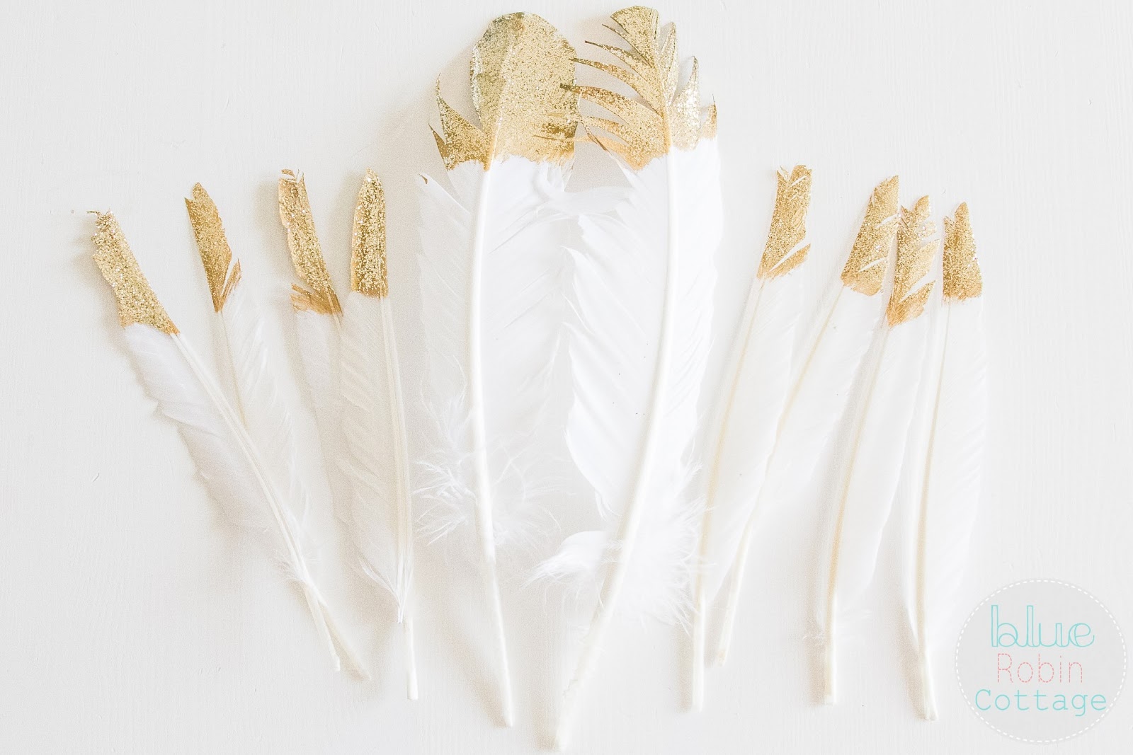 Blue Robin Cottage Gold Tipped Feathers