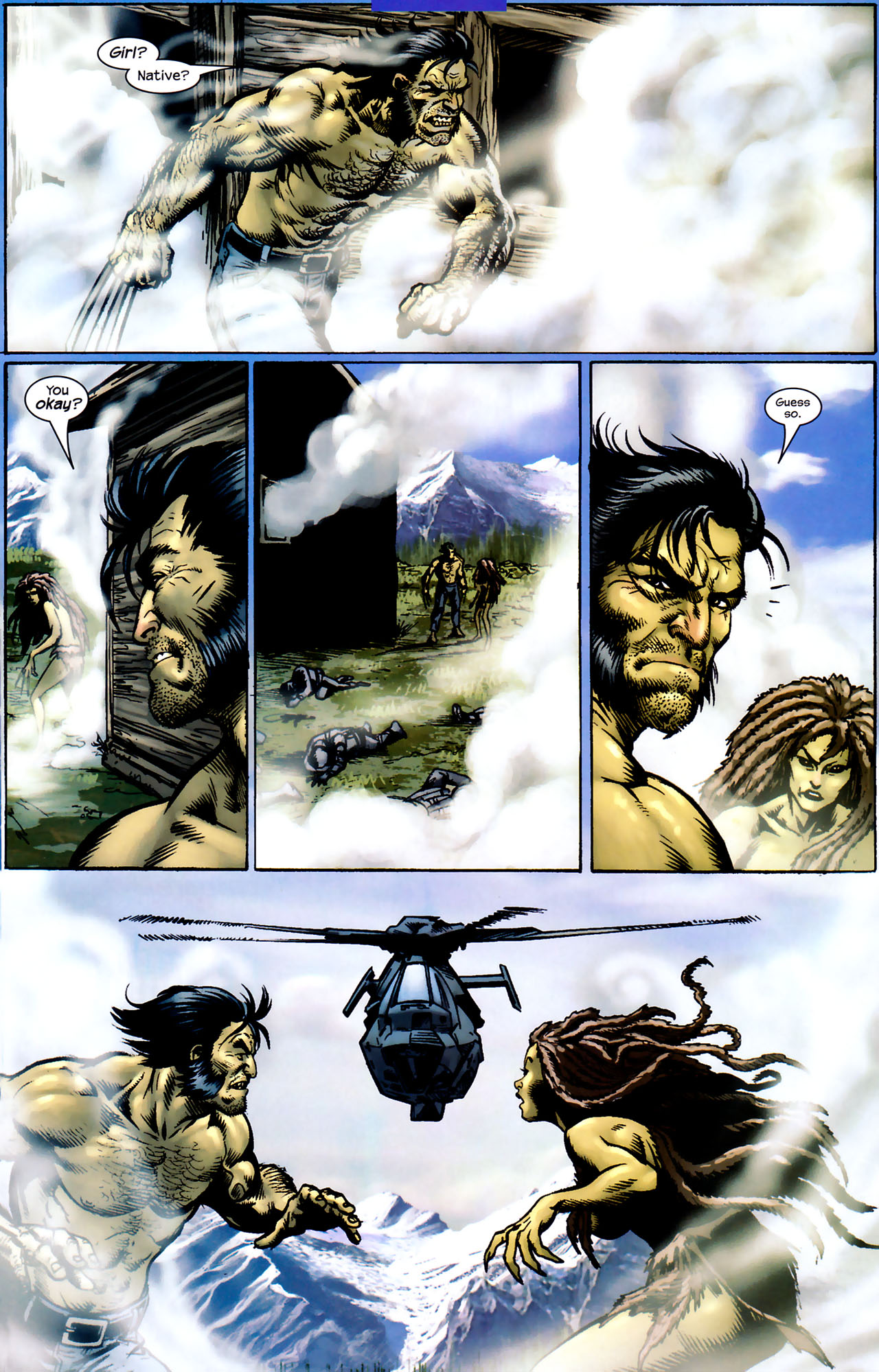 Wolverine (2003) Issue #16 #18 - English 12