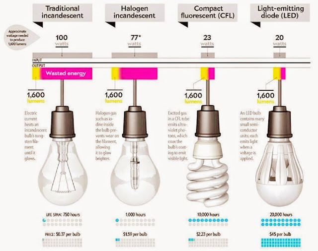 Electrical and Electronics Engineering The evolution of the light bulb.