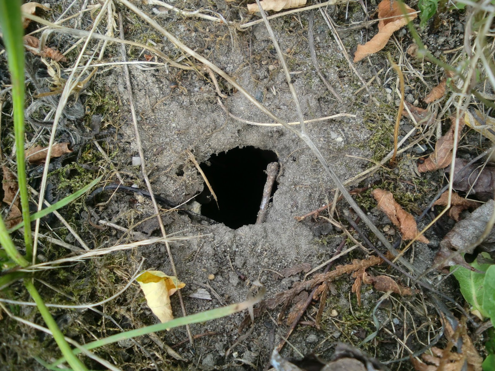 Arbeitslos Kein Geld Auf Dem Weg In Die Freiheit Kaffeesatz