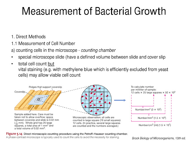 Measurement of Microbial Cell