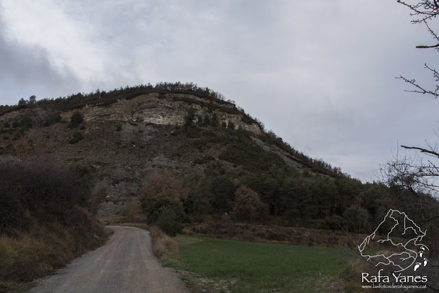Ruta: Turó de Bellver (1.045 m). Un pico entre niebla.(Els 100 Cims)