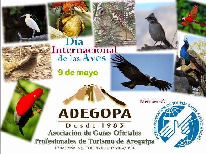 Día Mundial de las Aves