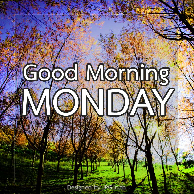 รวมกัน 99+ ภาพพื้นหลัง monday morning สวัสดีวันจันทร์ คมชัด รวมกัน 99+ ภาพพื้นหลัง monday morning สวัสดีวันจันทร์ คมชัด