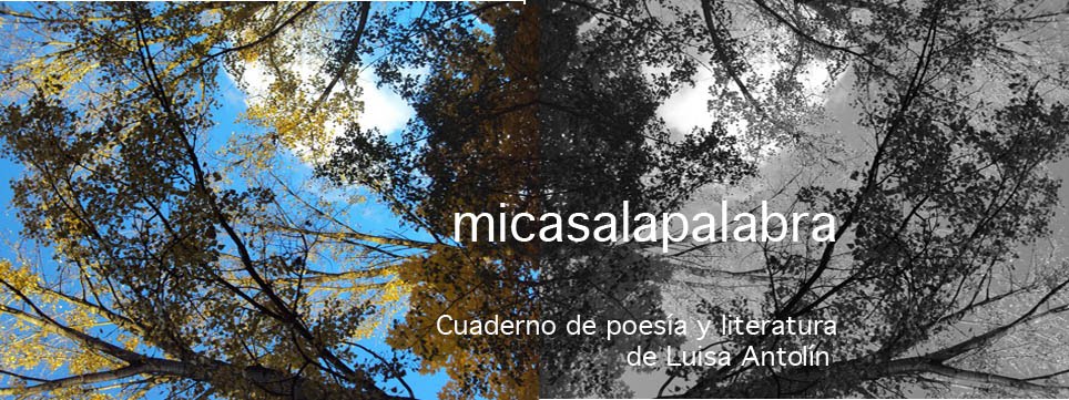 micasalapalabra